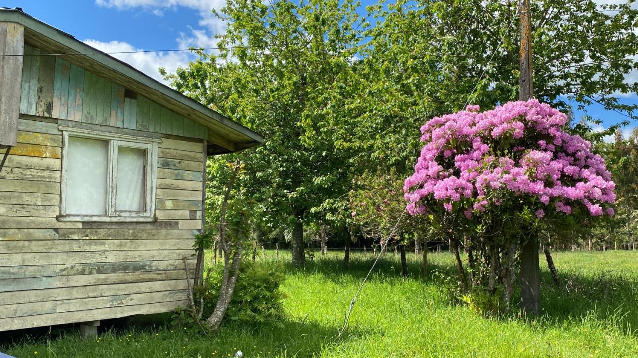 Campo, tranquilidad, relax y buenos paisajes - B&B Osorno