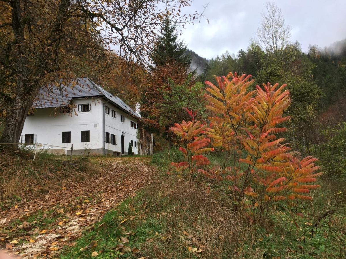 Forsthaus Gut Traunfried - B&B