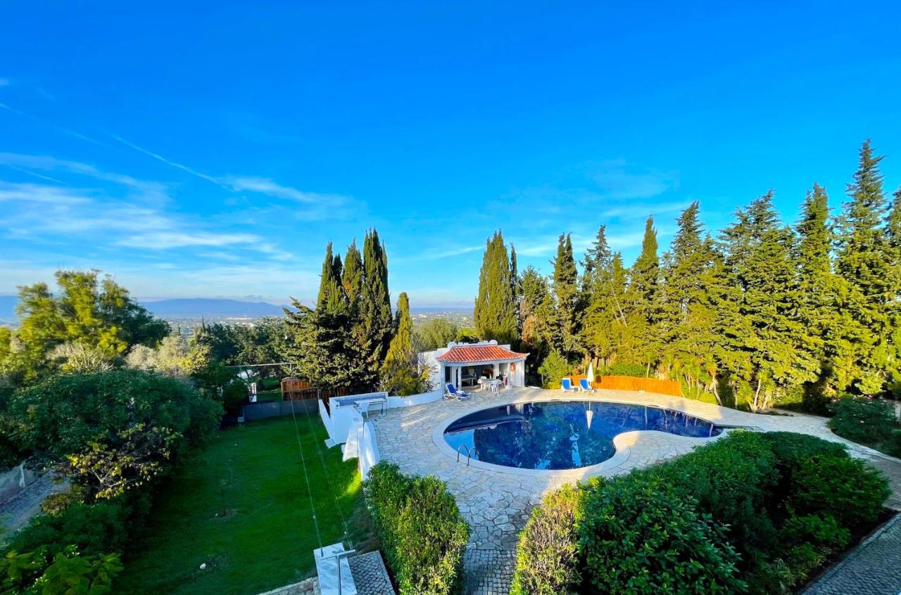 Villa Mandarin - B&B