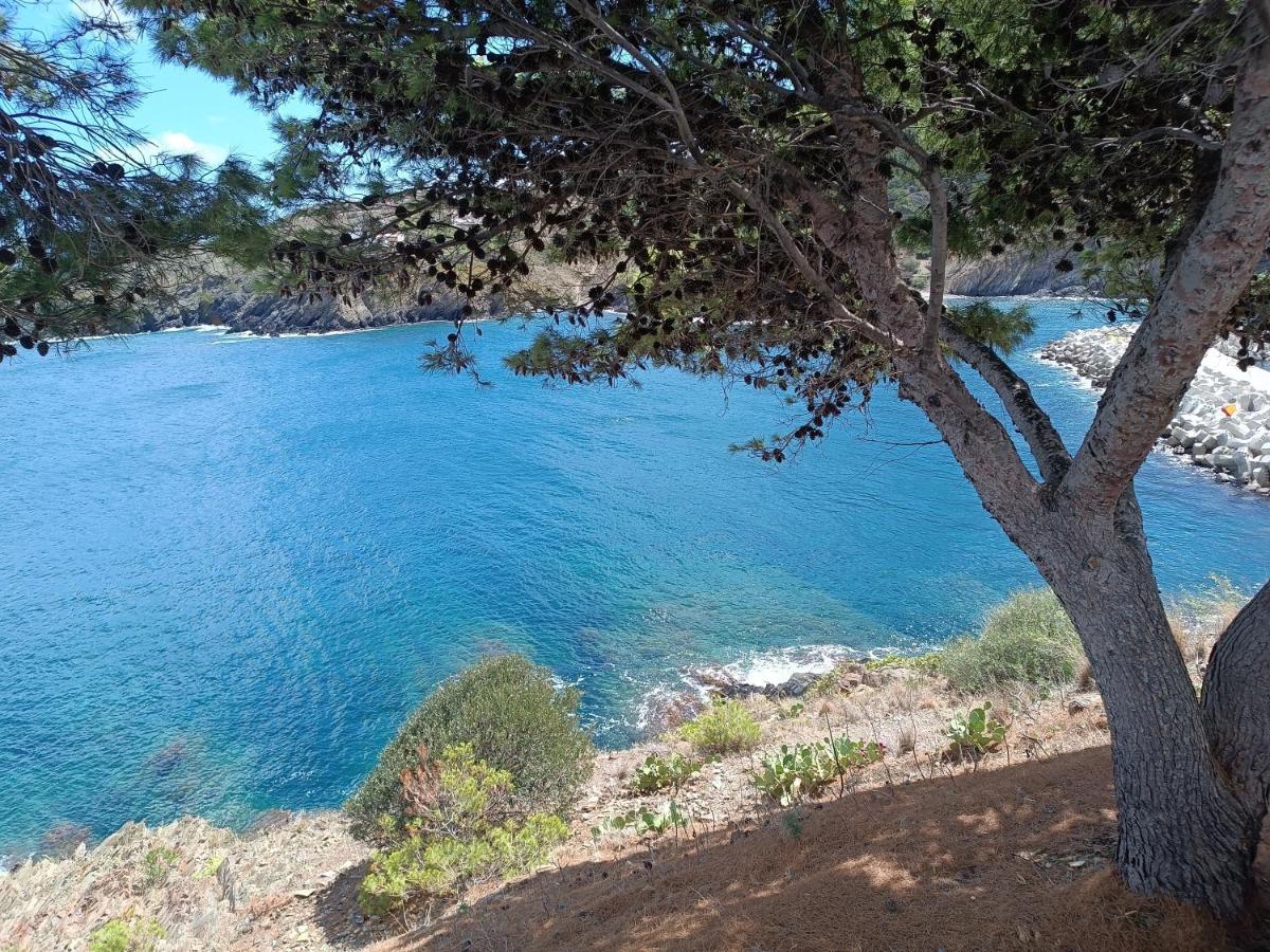 Location vacances, restriction un minimum de 7 nuits - Chambres d’hôtes Cerbère