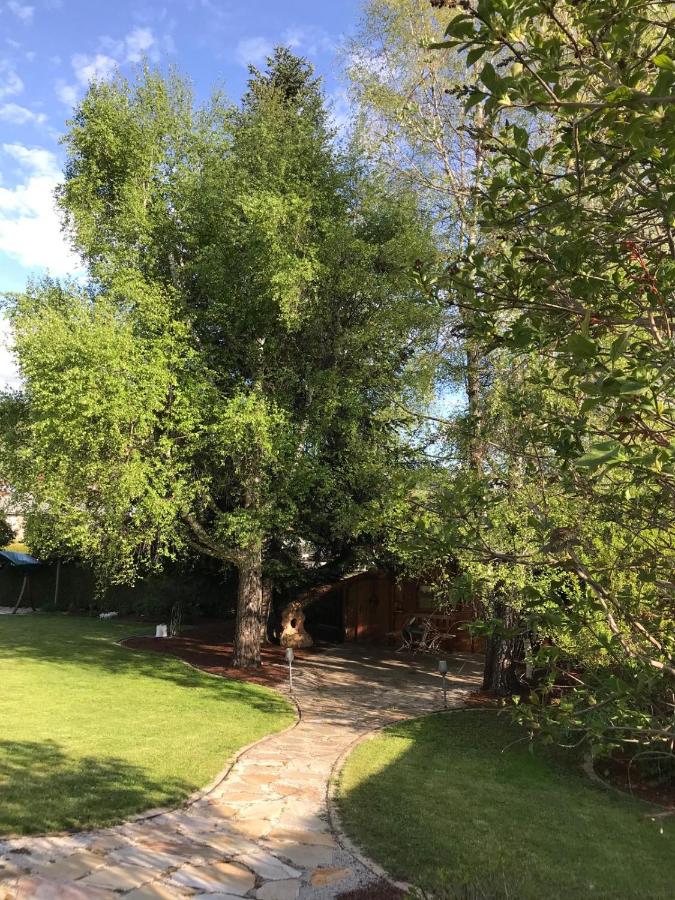 YOGA WOHLFÜHLOASE im Grünen - B&B