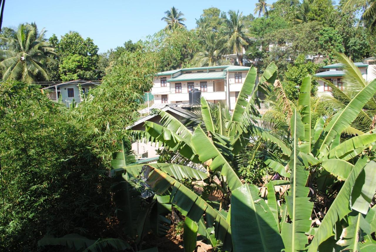 Evening Star Guest Inn - B&B