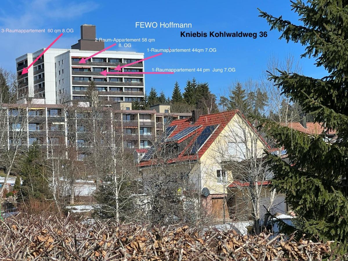 3- 2-1 - Raum - Ferienappartements Dieter Hoffmann Freudenstadt-Kniebis beim Nationalpark - Bed and Breakfast