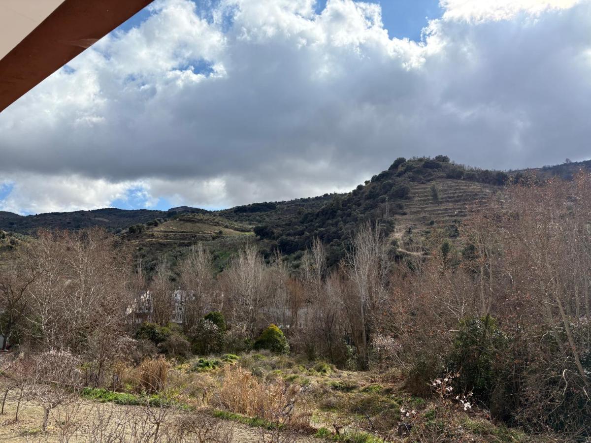 Alameda - B&B