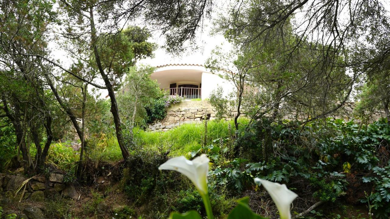 Casa Catalina, vista mozzafiato a due passi mare, natura e relax in Costa - B&B Lu Canniscioni