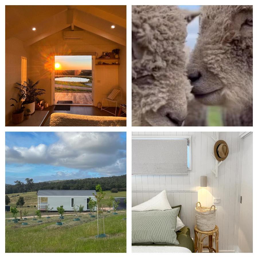 Banjos Cabin Gippsland - Luxury Retreat w King Bed Fireplace Valley Views - Ferienwohnung