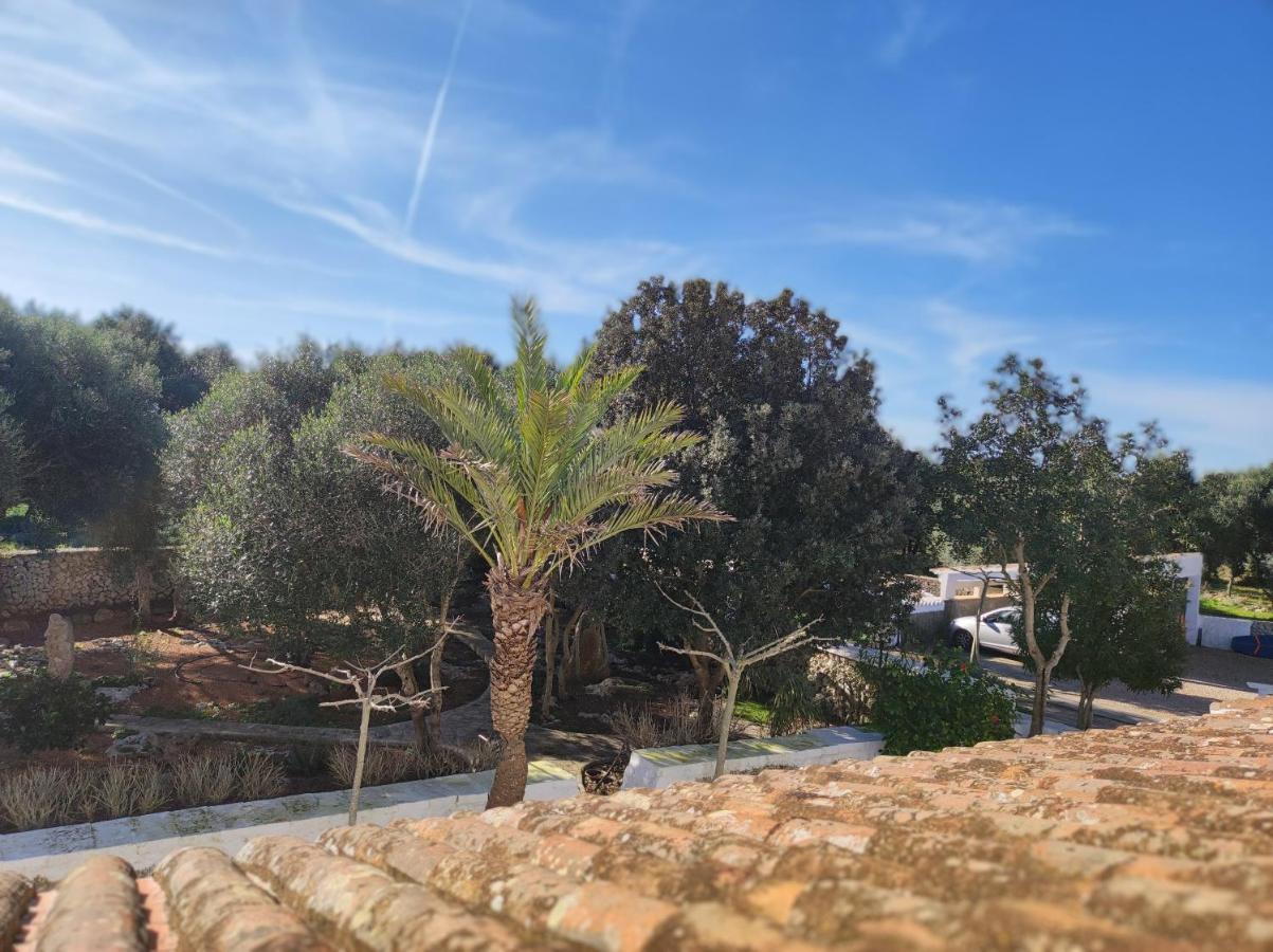 Doppelzimmer mit Gartenblick
