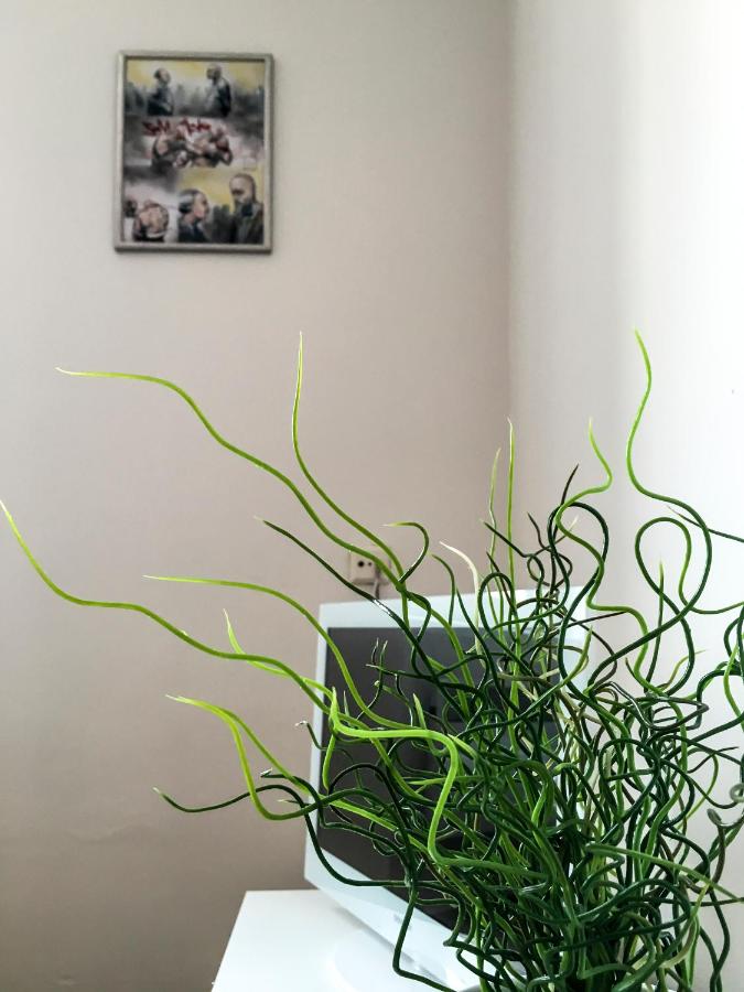Cosy Flat Pisek Downtown
