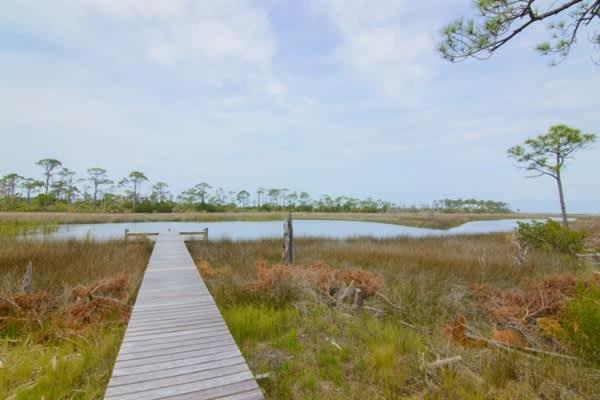 Canal- Bay Front family home 5-bedroom Sleeps 18 POOL coming soon Boat Dock - B&B