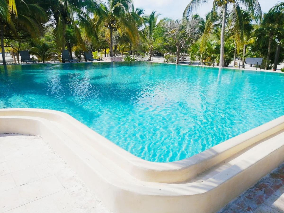 Oceanfront Villa with Big Pools - B&B Celestún
