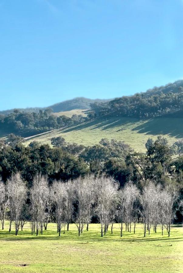 Vineyard stay at Mudgee - Ferienwohnung