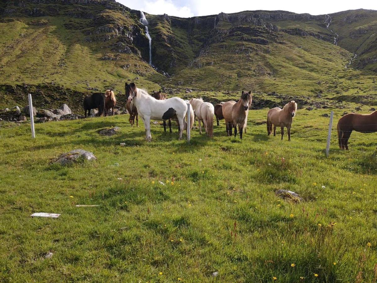 Kirkjufell View Cottages - B&B Grundarfjordur