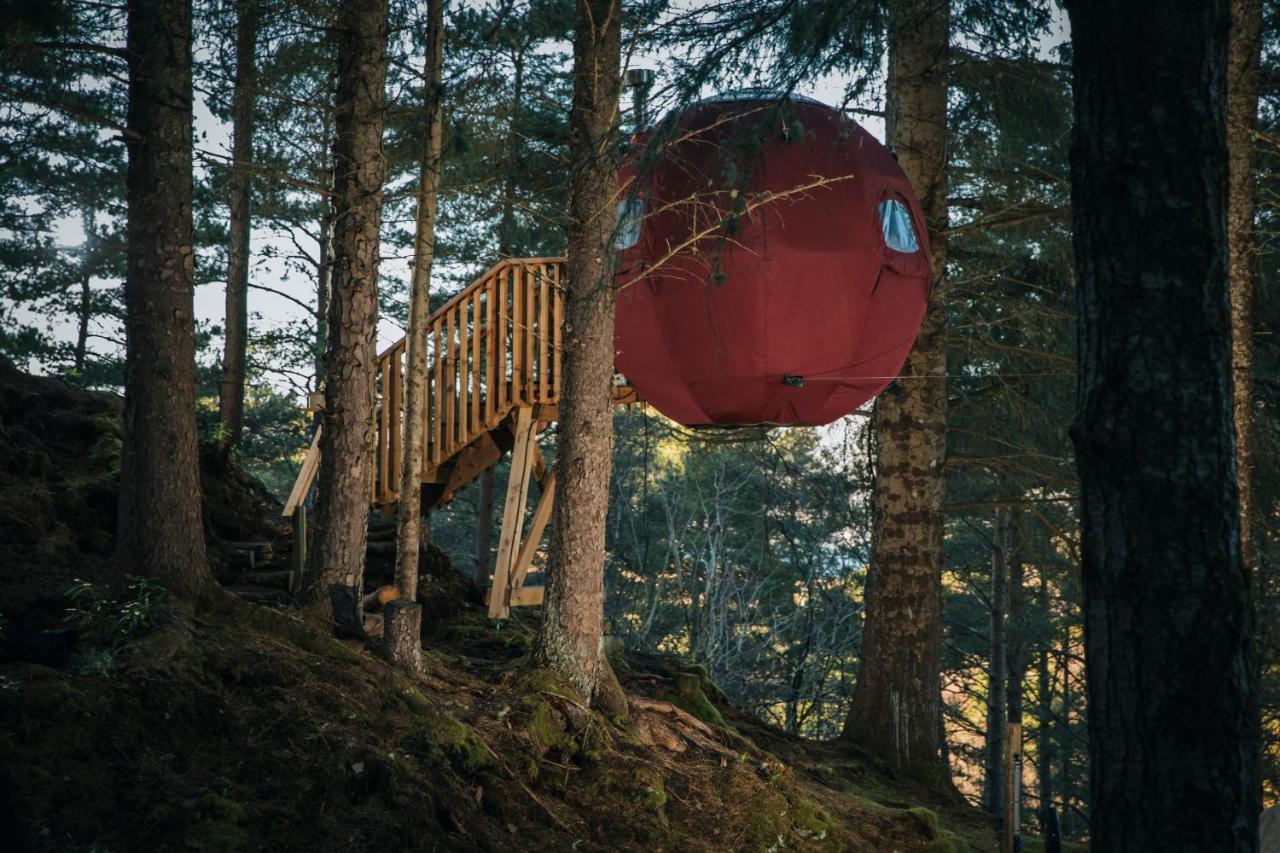 the tree tent highland hangout - B&B