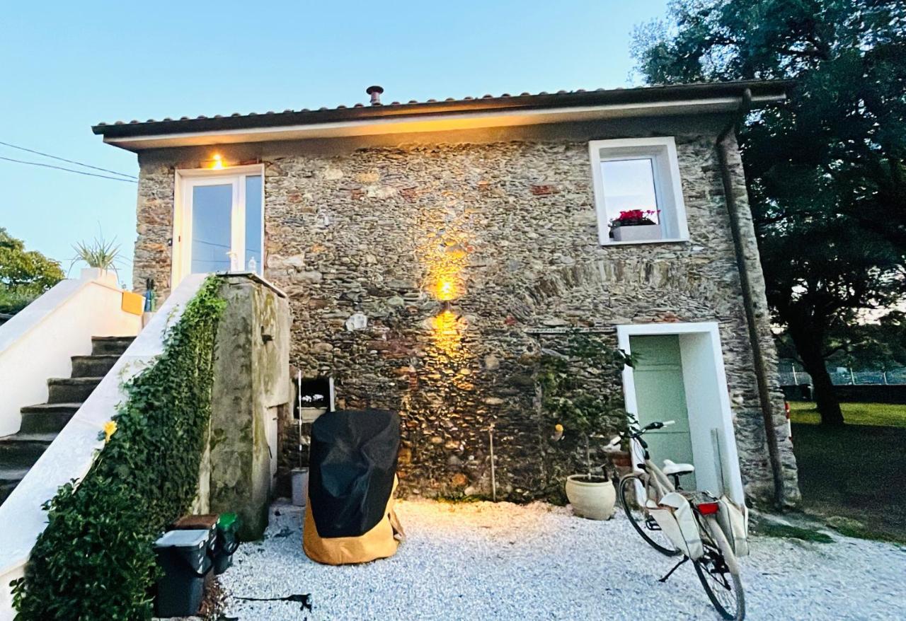 La casina Versilia - B&B