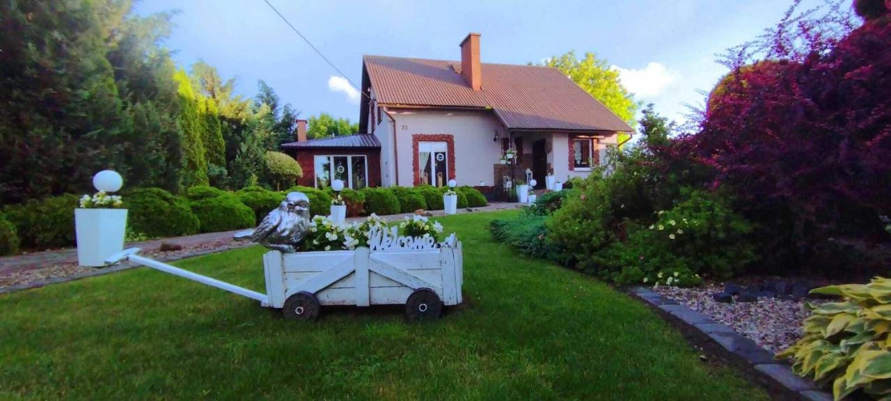 Agroturystyka u Lusi
