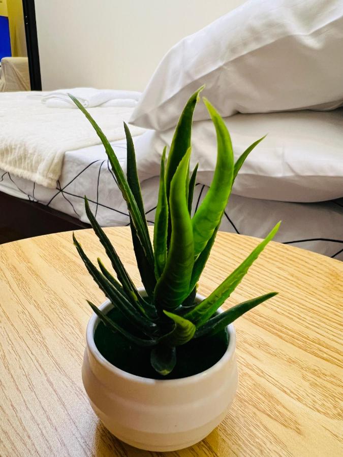 Habitación Doble Deluxe (2 adultos + 1 niño) 