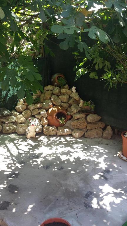 СТОНЕЛ-семейно студио - Bed and Breakfast Veliko Tŭrnovo