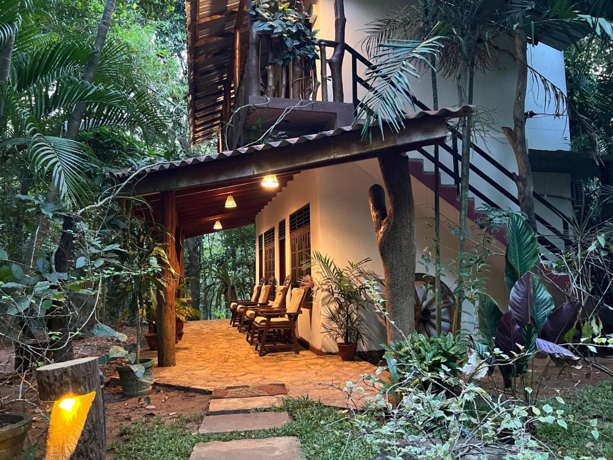 Walawa Blue Sapphire - B&B