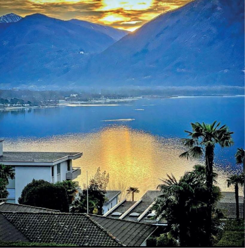 Residenza Arazzo - B&B Minusio