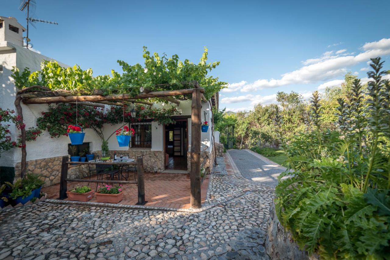 Al Agia - Los Molinos de Padul - B&B