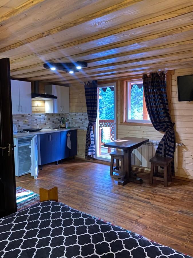 Номер 6 Садиба У Ані - B&B Synevyrska Poliana