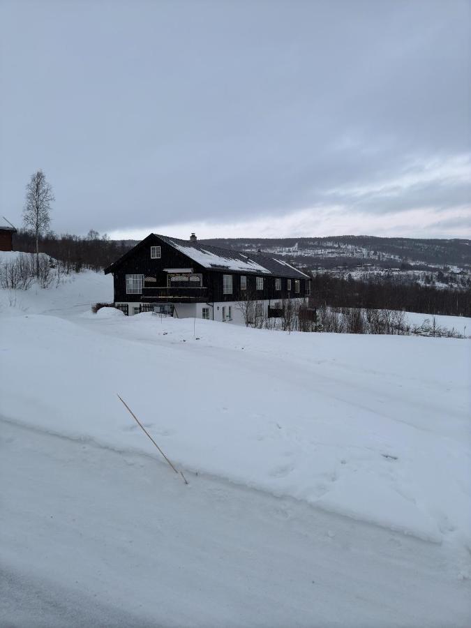 Cozy apartment near ski attractions - B&B Geilo