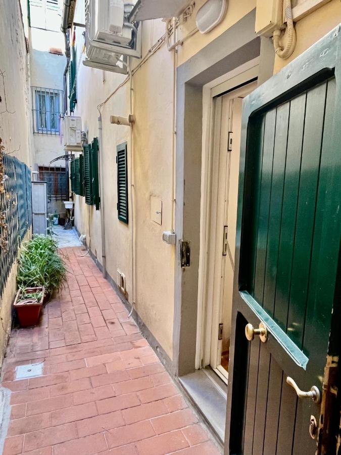 Cozy Florence Apartment near piazzale Michelangelo - B&B Firenze
