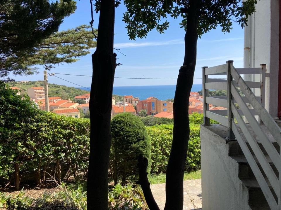 Un Jardin Terrasse sur la Mer - B&B Portvendres
