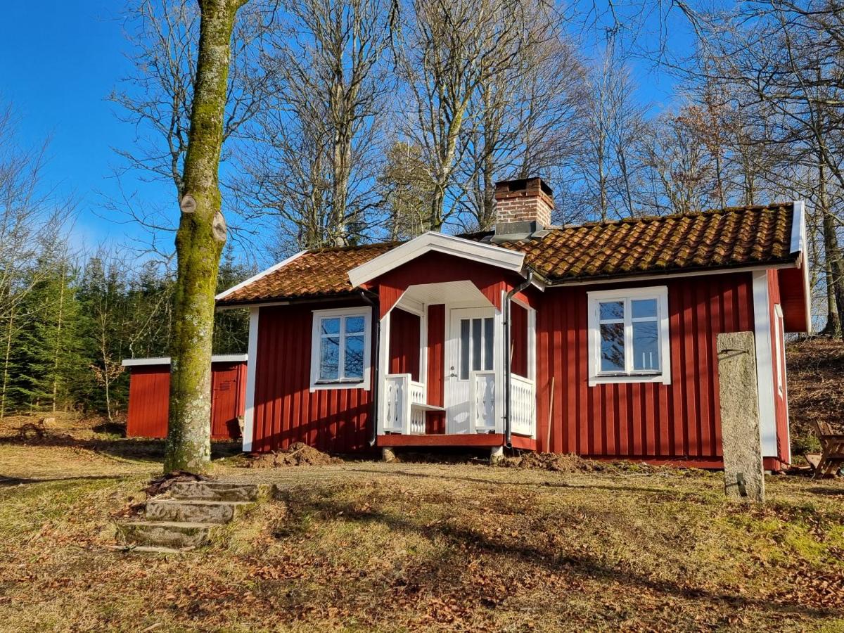 Skogsgläntan - B&B Åshuvud