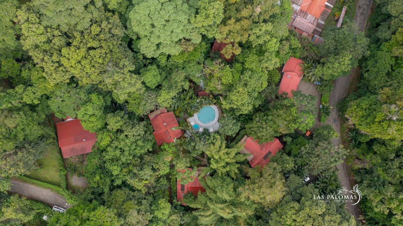 Las Palomas Villas - B&B Cocles