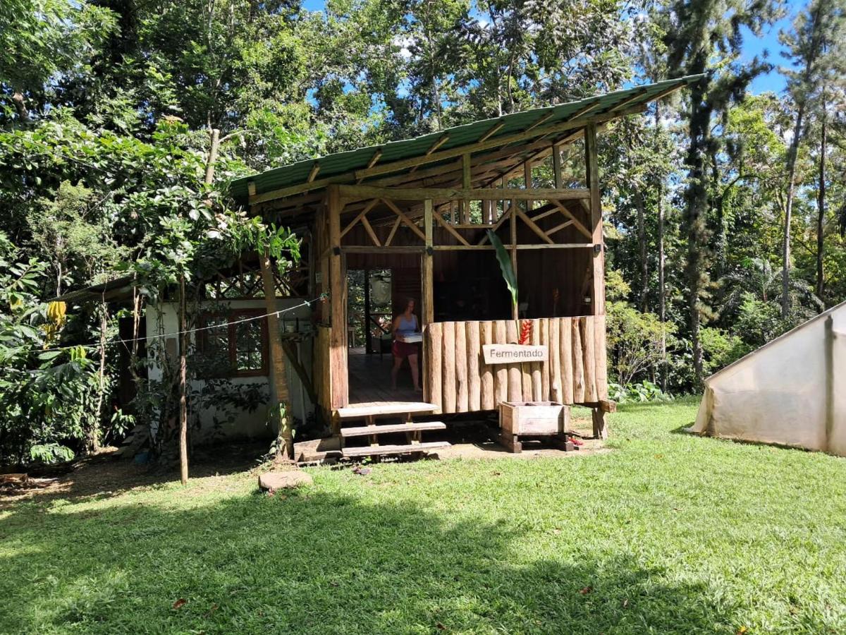Casita Del CacaO - Chambres d’hôtes