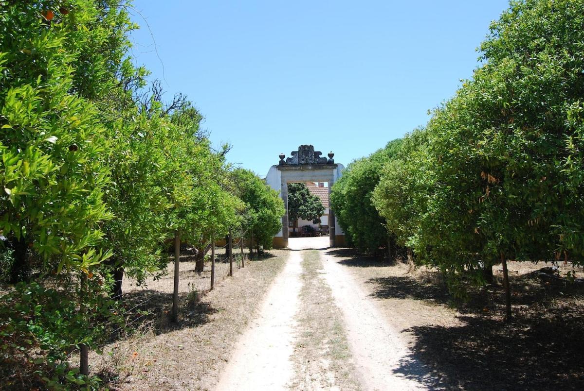 Quinta do Casalinho - Benfica do Ribatejo - B&B Bemfica