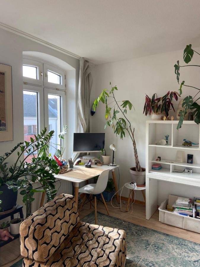 Bright old building whole Apartment Cologne - Ferienwohnung
