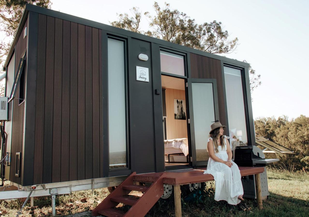 Amaroo One by Tiny Away - Bed and Breakfast Tuncurry