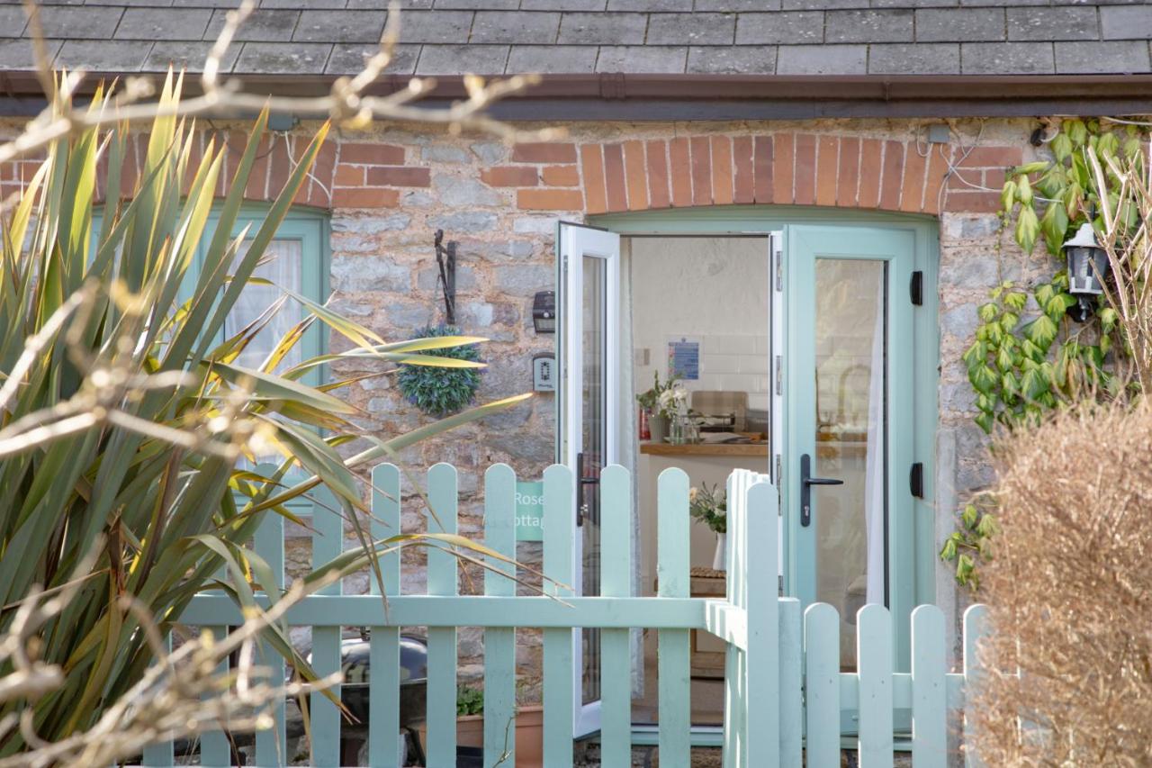 Rose Cottage - B&B Paignton