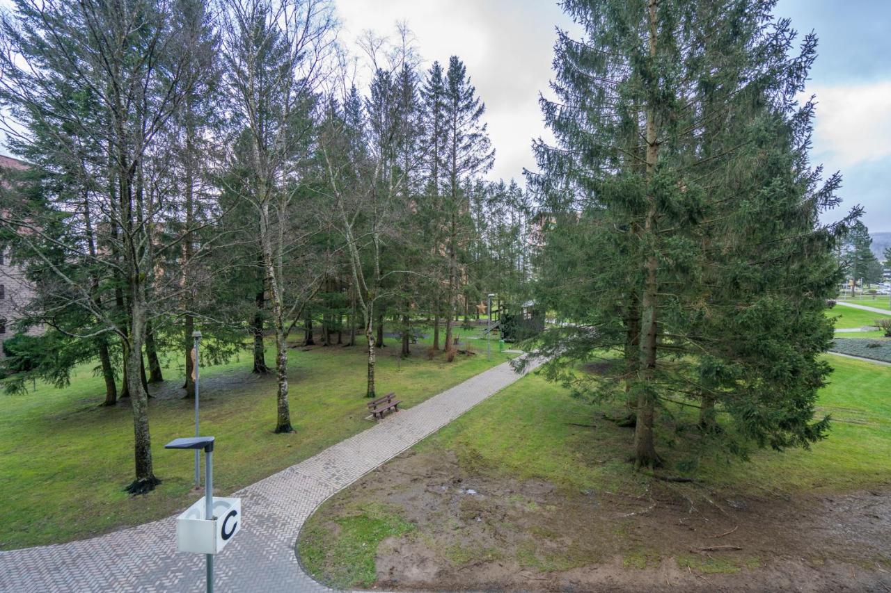 Ferienwohnung Harzreise - B&B Altenau