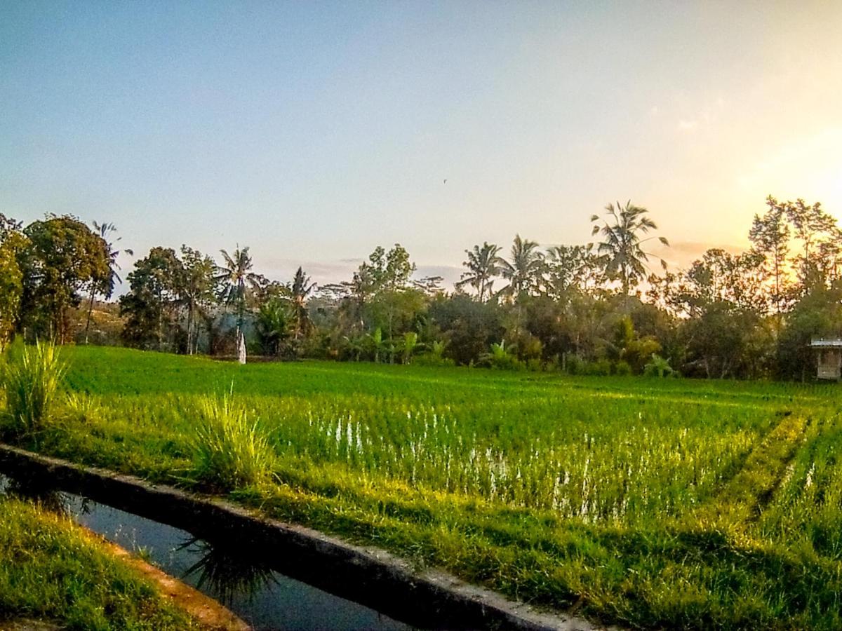 Ubud Paradise Villa - Ferienwohnung Ubud
