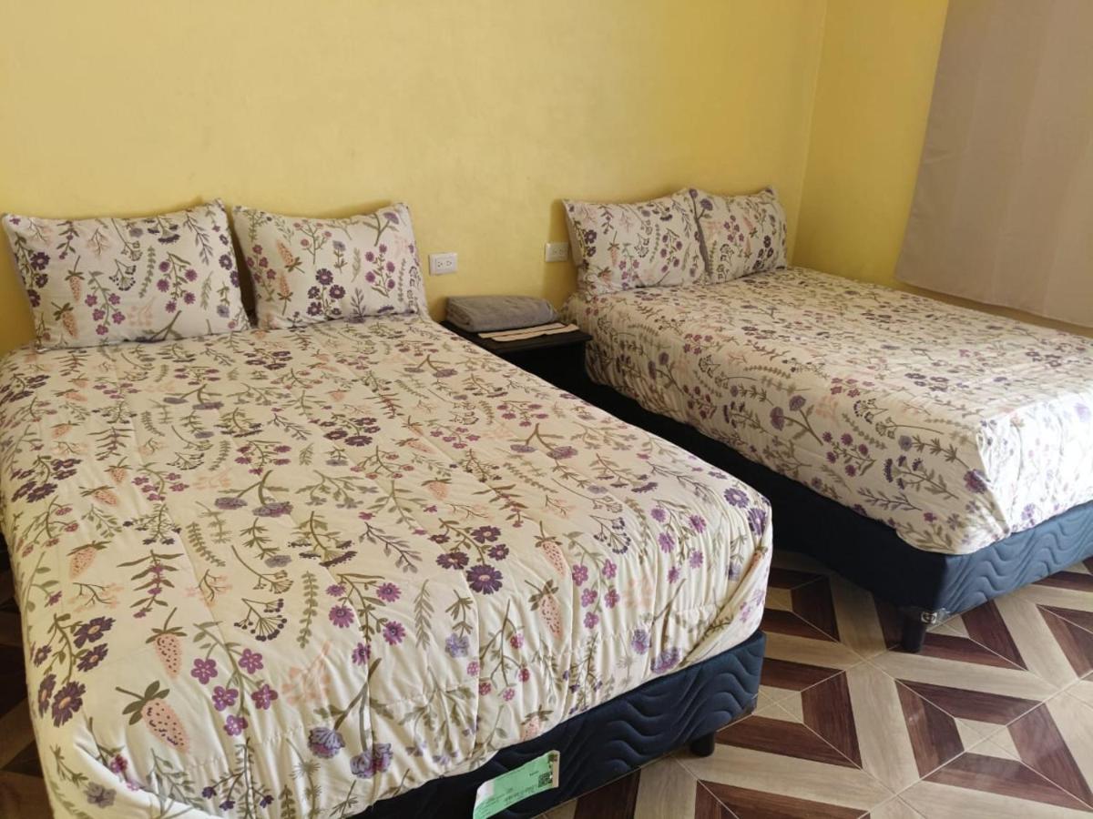 Twin Room with Private Bathroom
