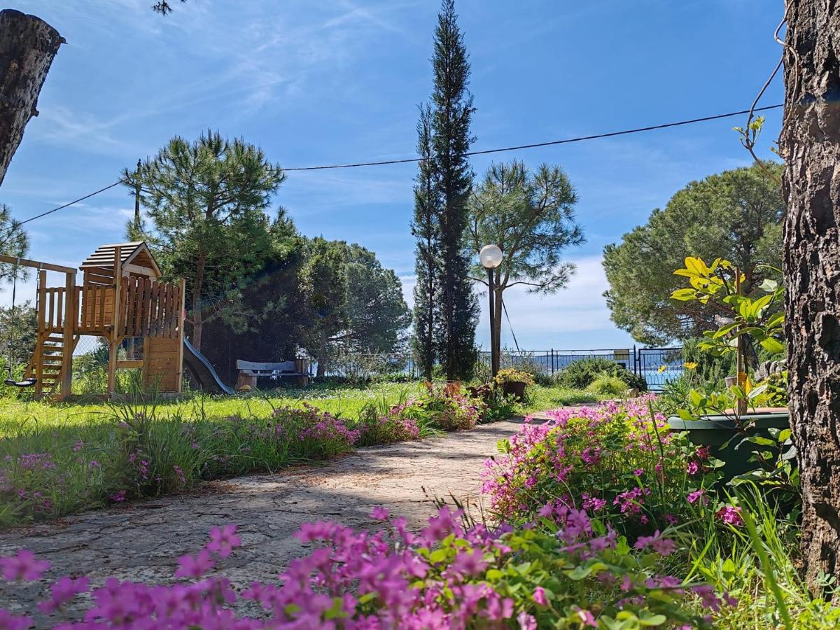 Apartmani Park - B&B