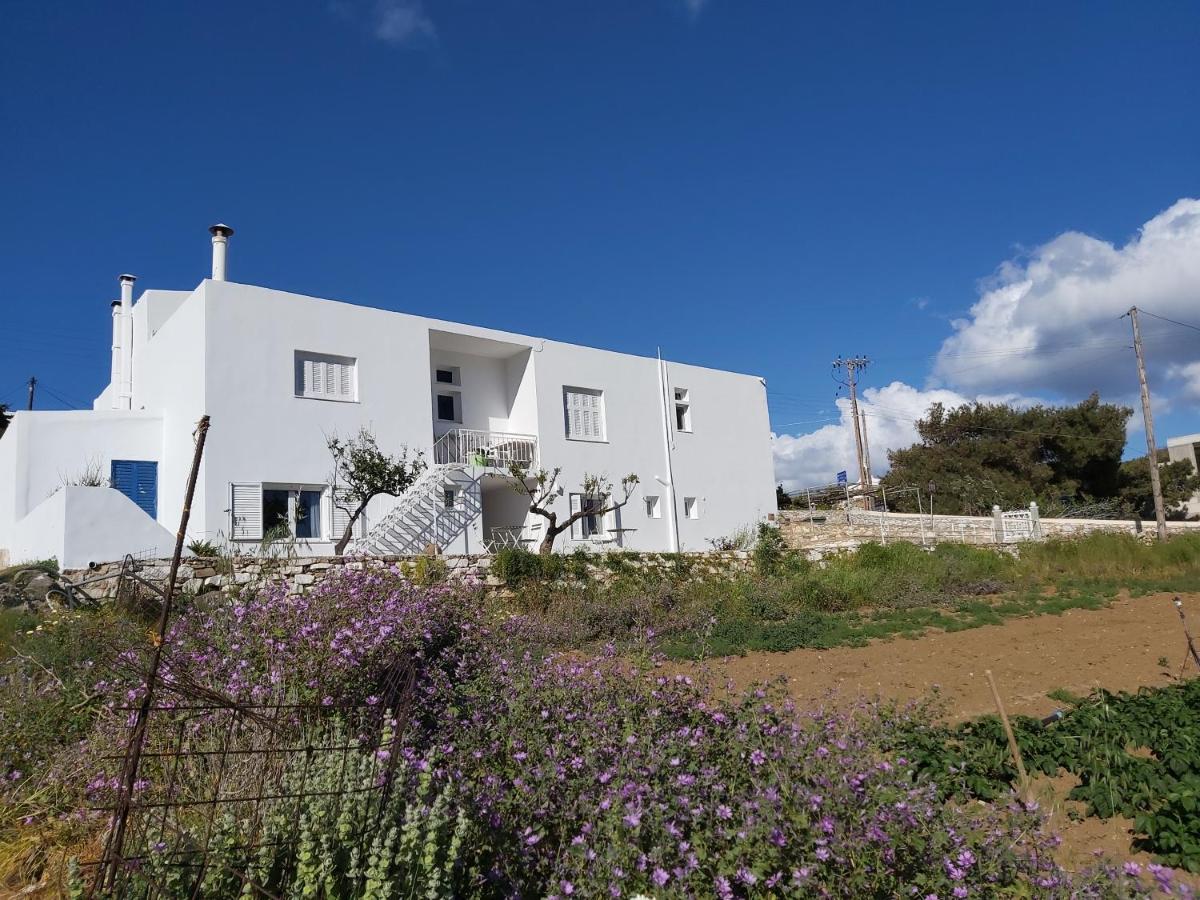 Dandelion Paros Apartments III-IV - B&B