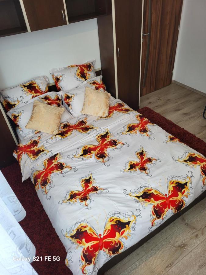 Appartamento con 2 Camere da Letto