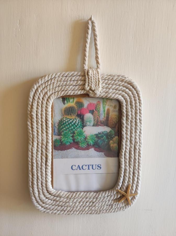 Chambre chez l'habitant "cactus" une, deux ou trois personnes - Chambres d’hôtes