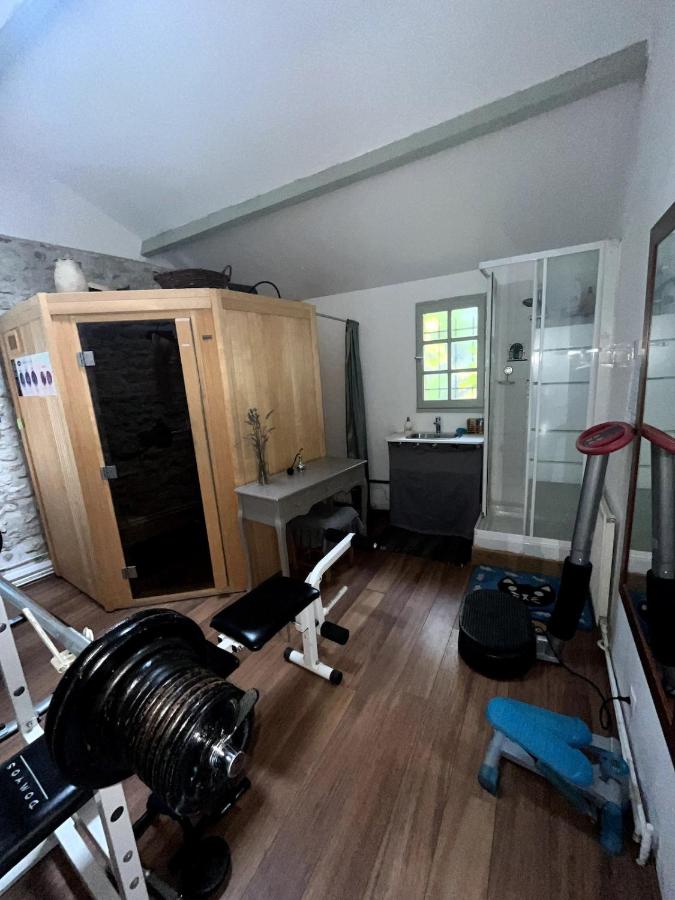 Maison region Fontainebleau pool sauna river - B&B Aulnay-la-Rivière