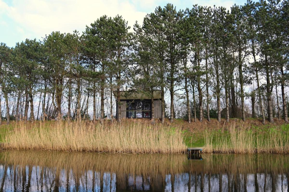 The waterfront & birds nest - B&B Evergem