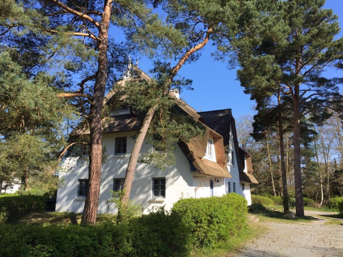 Achtern Diek Haus 6 Wohnung 2 - B&B