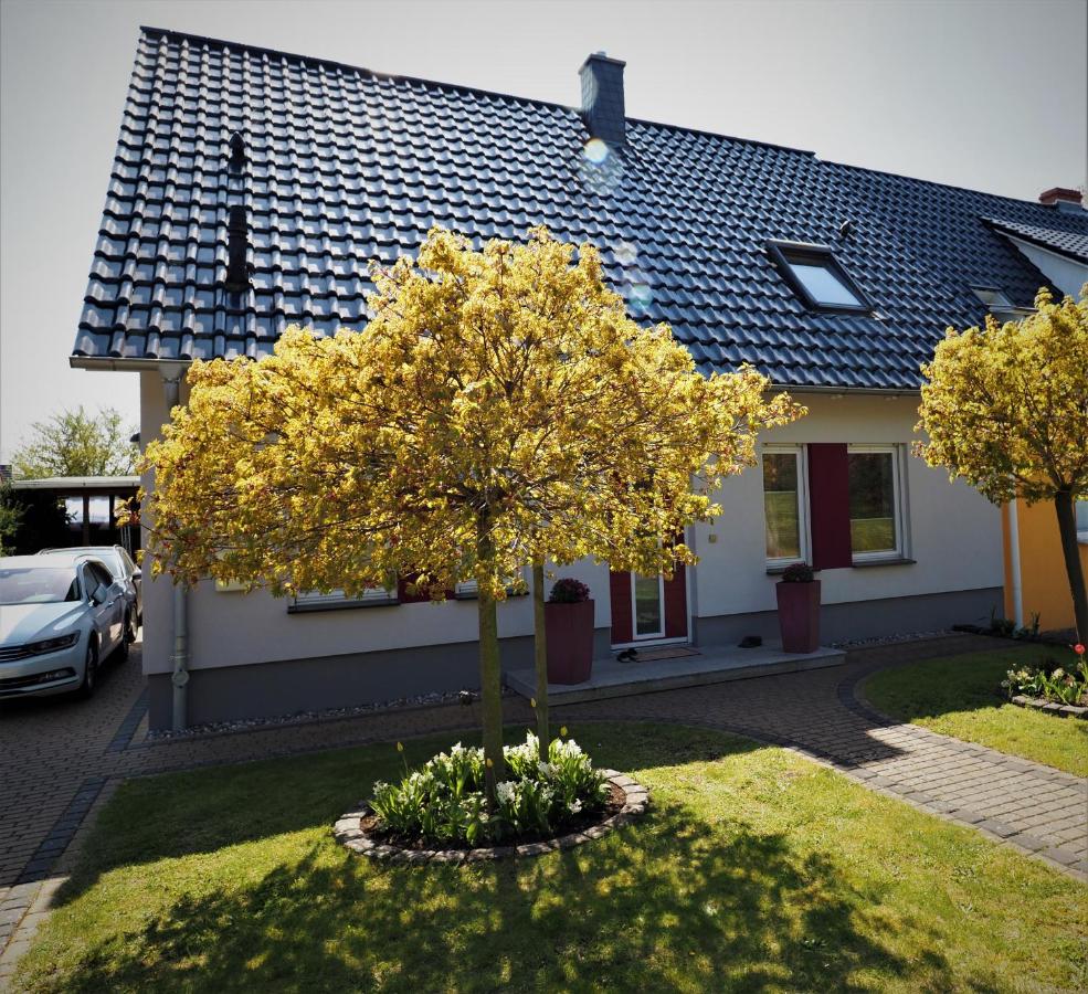 Wiesenstr 4 Haus Blaumöwe - B&B Zingst
