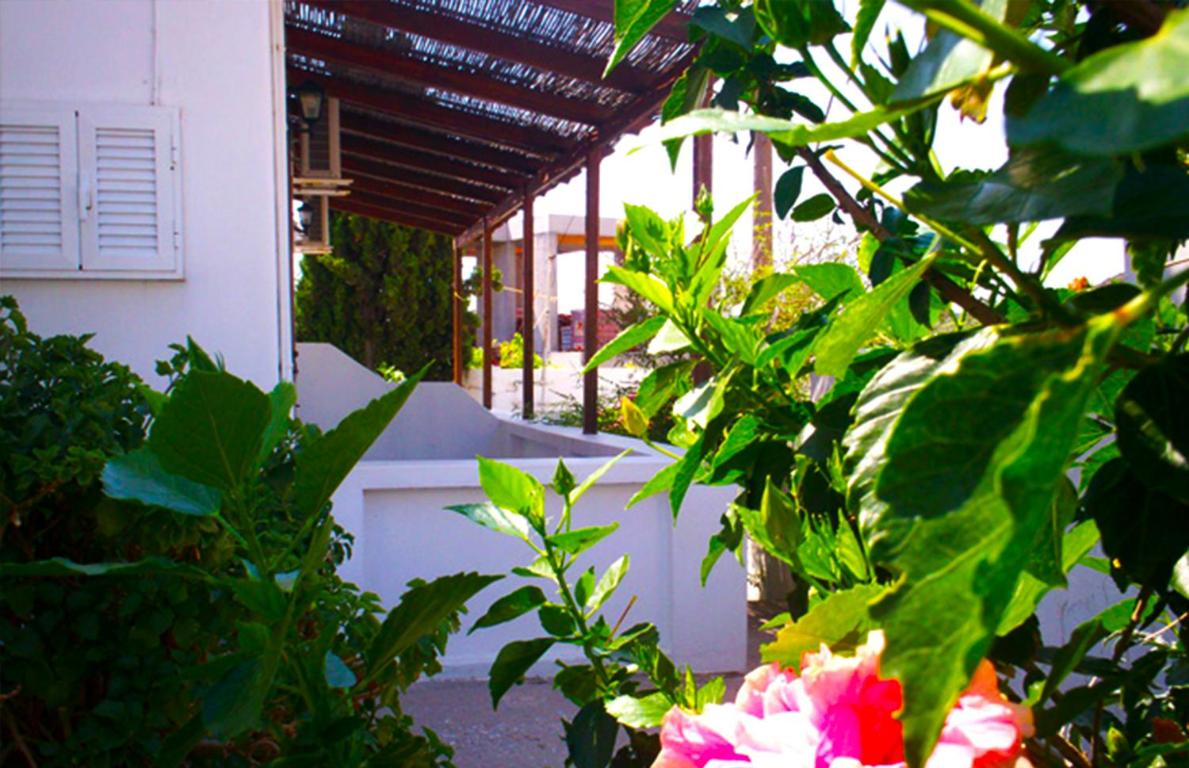 Zweibettzimmer mit Gartenblick