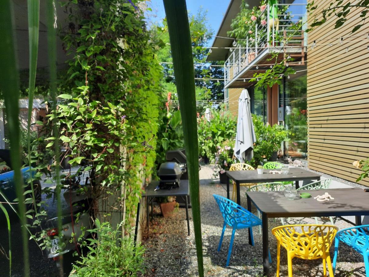Glashus-Moos Loft 2 - Ferienwohnung Moos