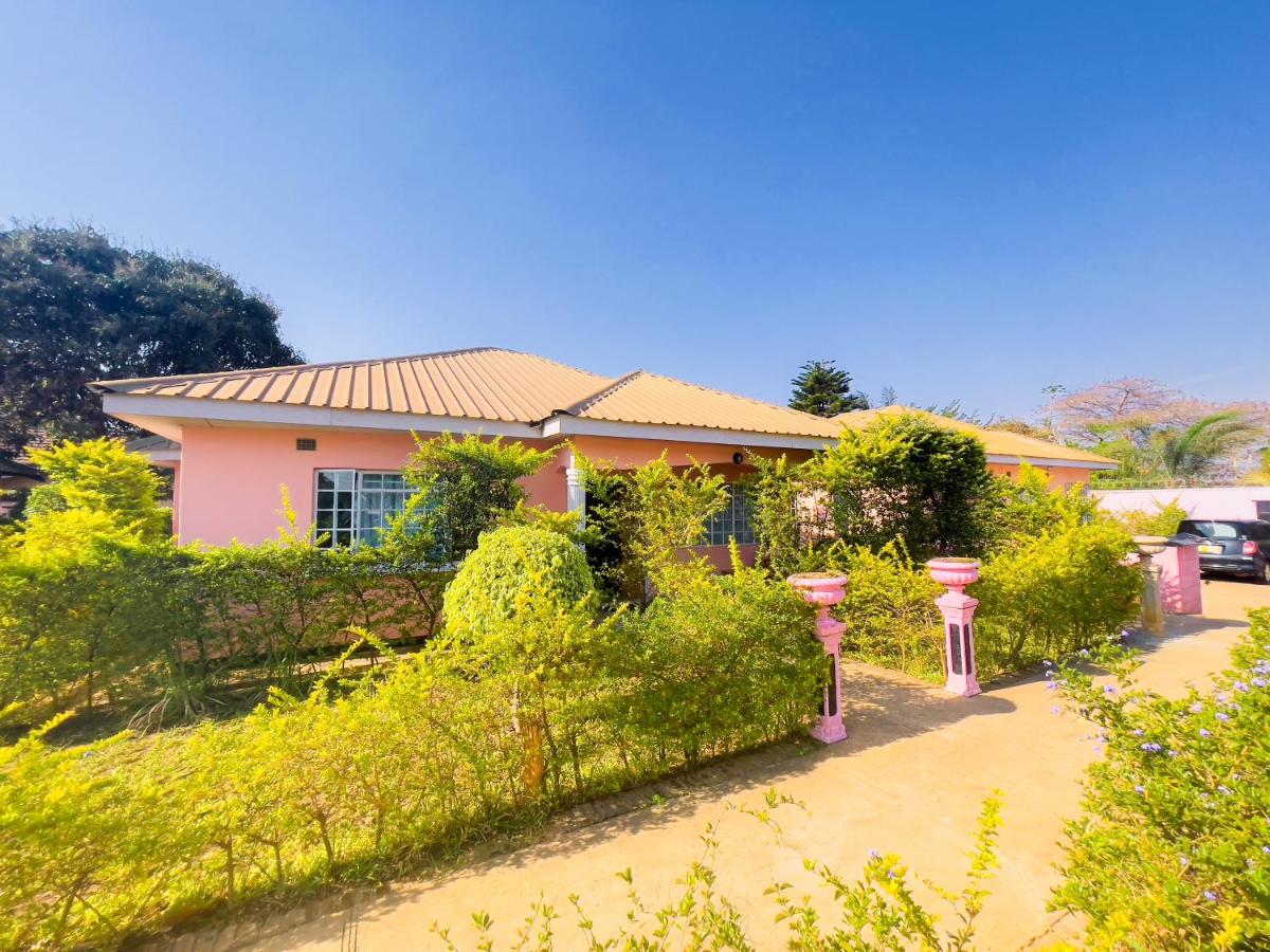 Homely Lodge And Apartments - B&B Lilongwe