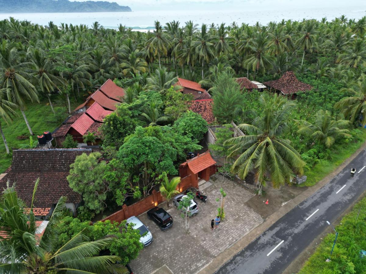 Java Turtle Lodge Meru Betiri - B&B Banyuwangi